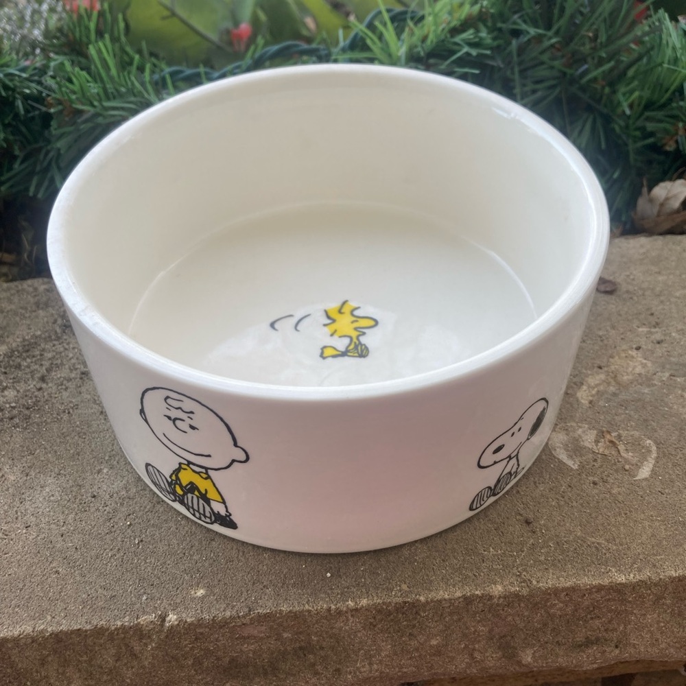 The peanuts pets bowl